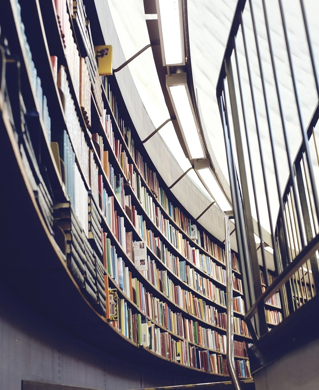 Bibliothek, Karl Arnold in der Literatur