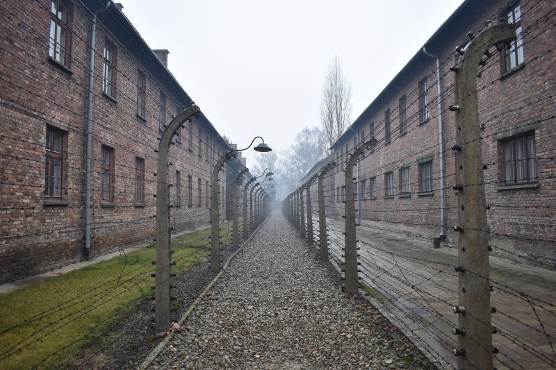 Auschwitz - Synonym für Holocaust und Massenmord. Ein Studienseminar für Jugendliche